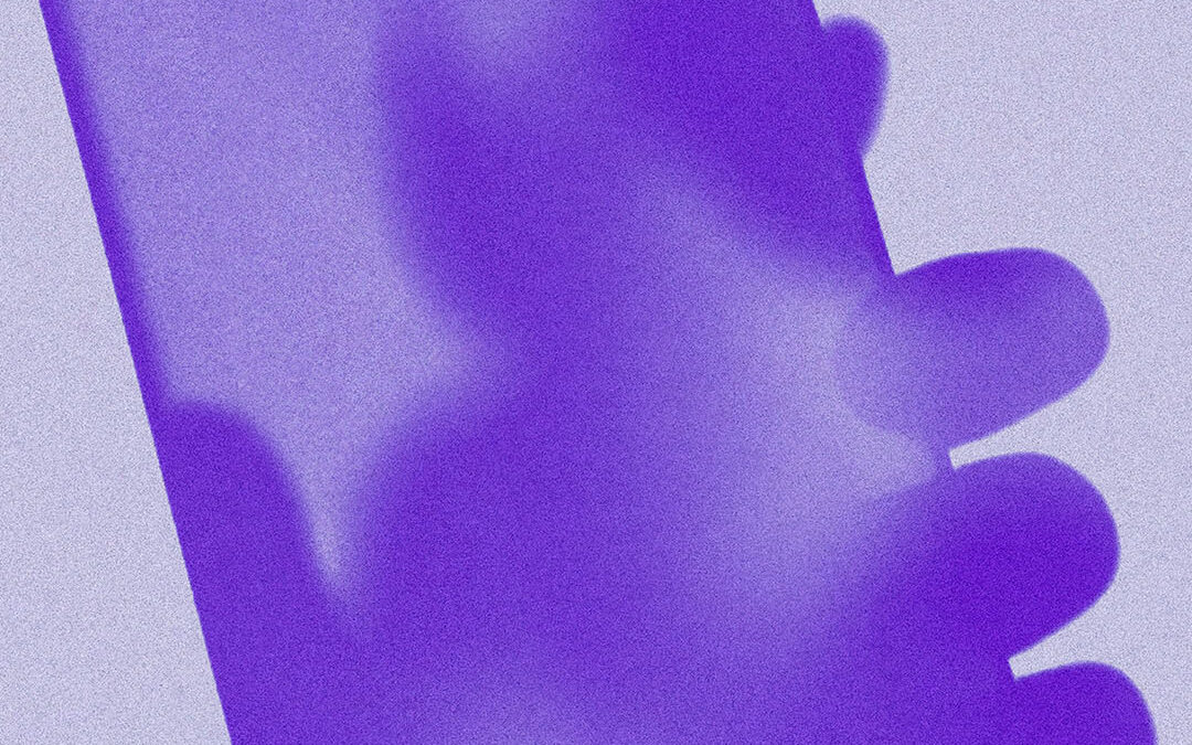 L’usuari i la bèstia